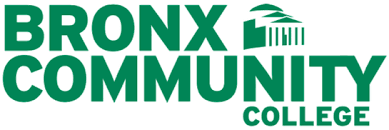 Bronx Community College Internship