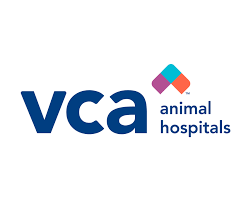 VCA Internship